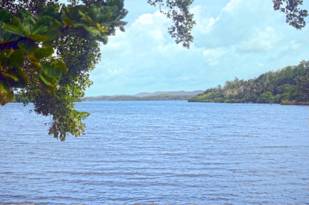 Lumbini Lagoon Коггала Номер фото